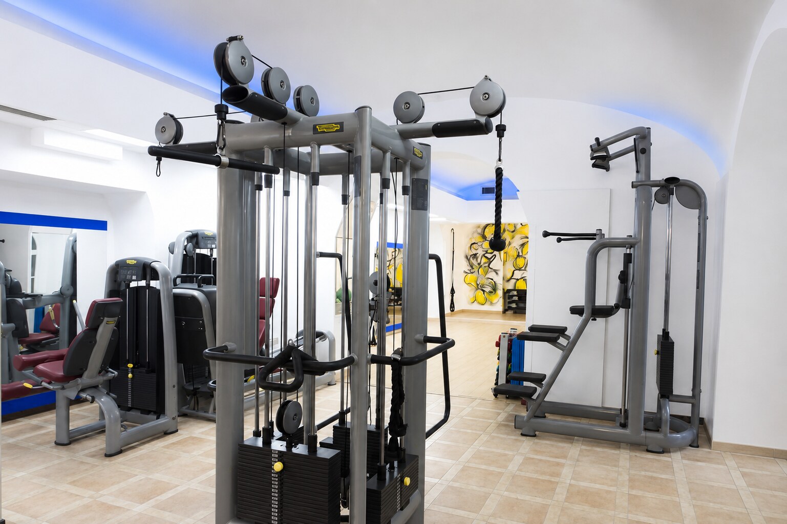Attrezzature della sala pesi Technogym
